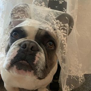 Meet your Posher, Camilla